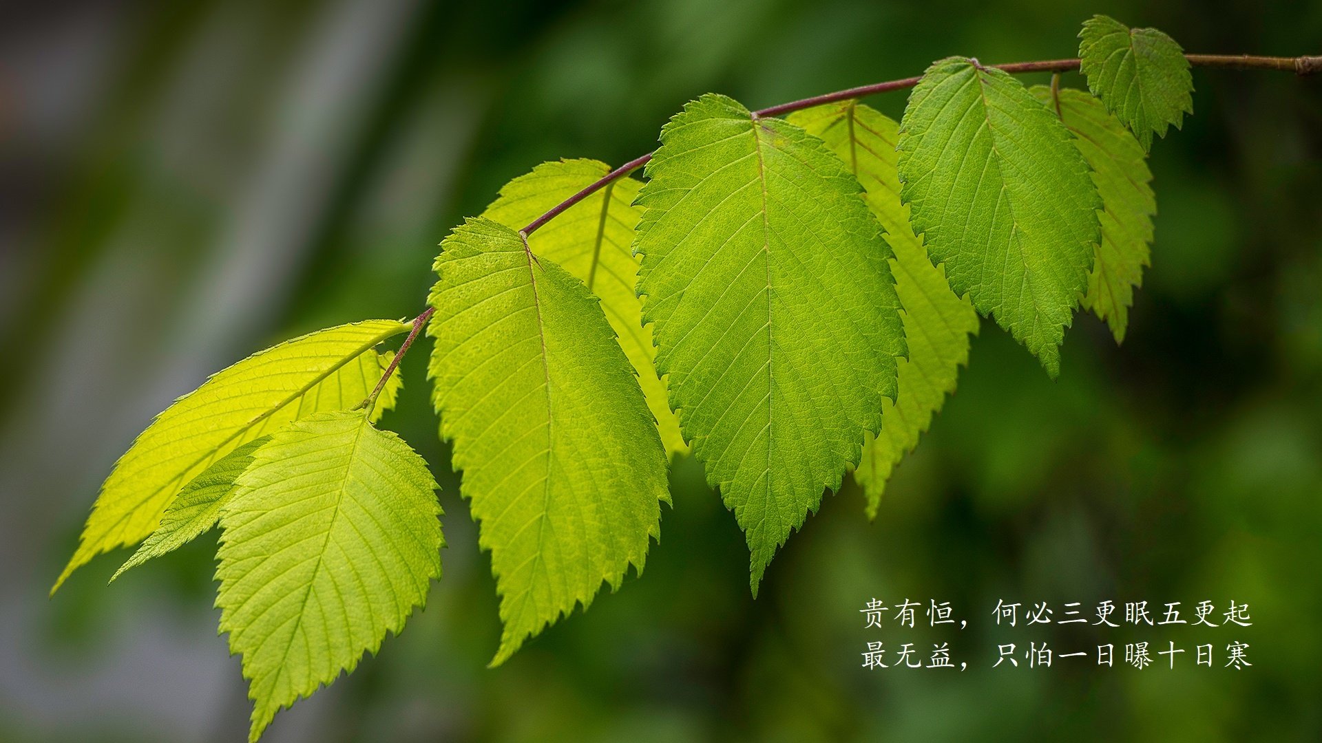 熊猫体育APP-体育团队加强体能训练提升比赛表现，开展体能训练的标题