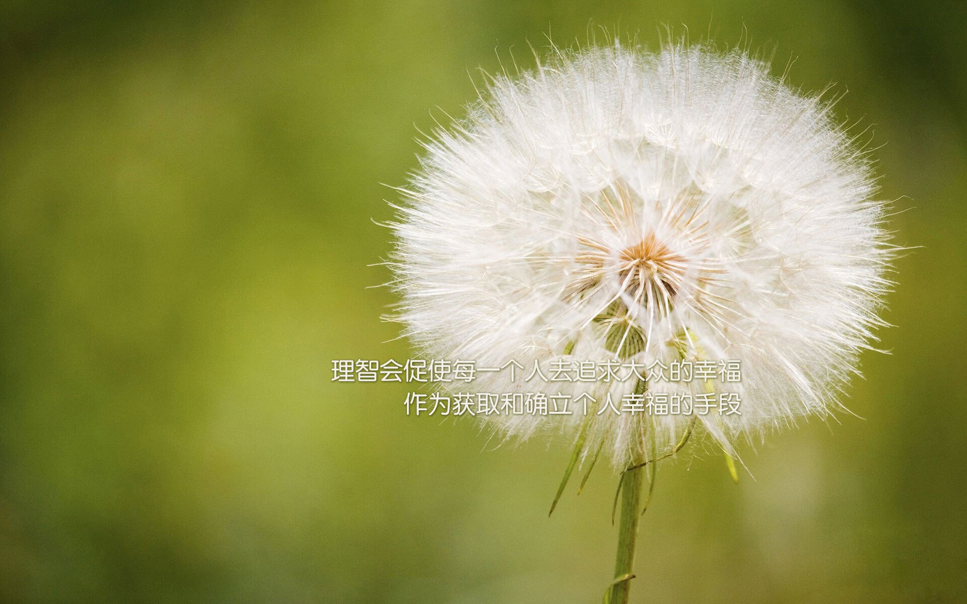 意大利战平葡萄牙，欧预赛实力相当，意大利 葡萄牙 战绩