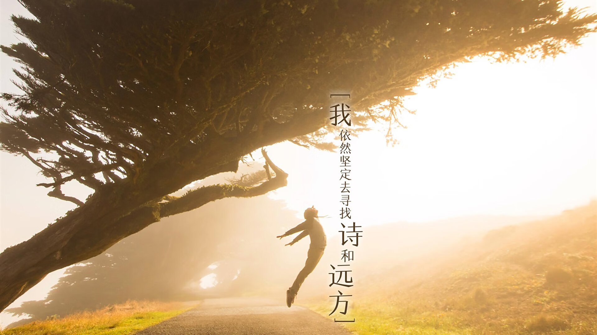熊猫体育app-门兴格拉德巴赫球员伤愈回归，球队迎来转折，门兴格拉德巴赫队俱乐部微博