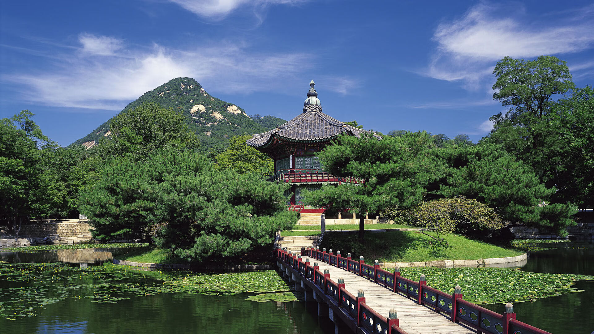 2024年埃及队在世界杯中的技术革新与突破,埃及世界杯阵容