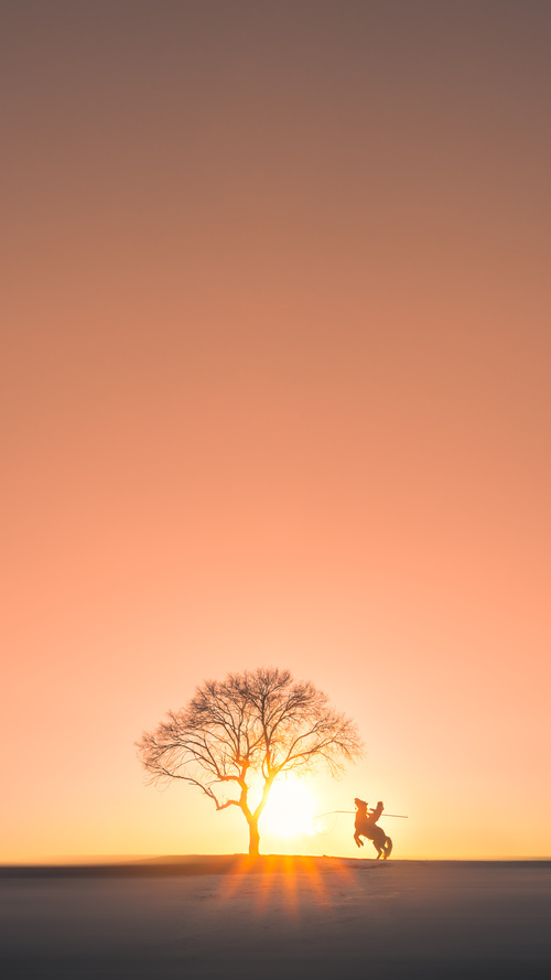 CBA球队力求全员健康迎接赛季，cba联赛如火如荼,随着比赛场次的密集