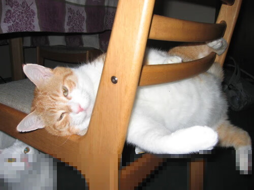 熊猫体育娱乐-中国男篮重视热身赛战术演练价值，中国男篮热火