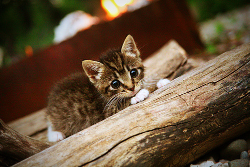 传球线路设计是否成为五大联赛技术教练关注焦点,传球的路线有哪三种