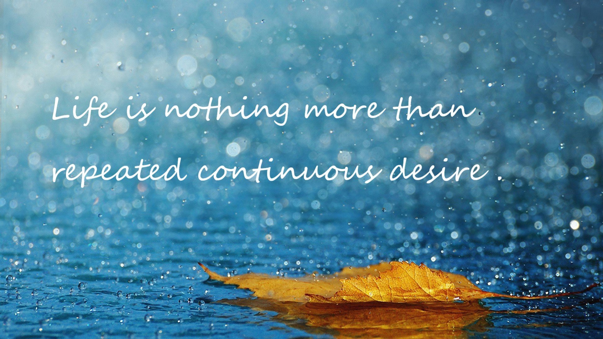 熊猫体育APP-兴隆湖边文旅节同步开启，热闹非凡，兴隆湖景点