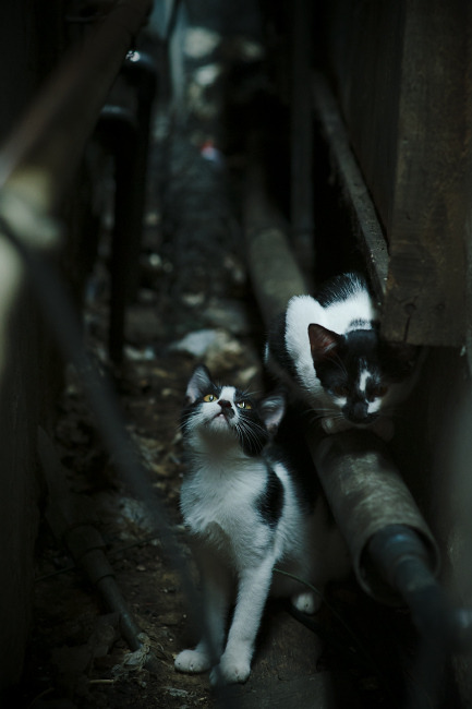 兴隆湖边文旅节同步开启,热闹非凡,兴隆湖景点
