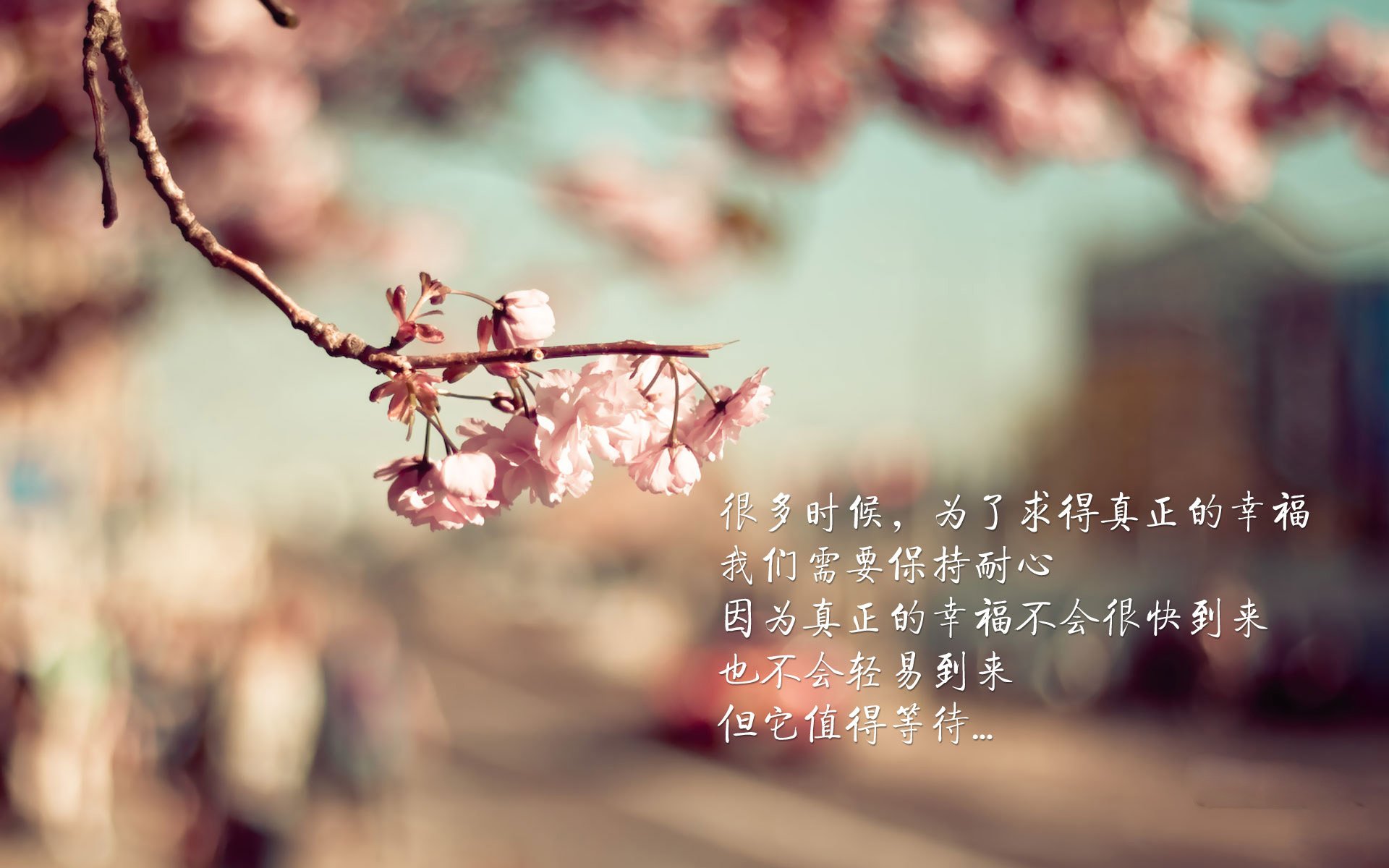 球员如何根据节奏选择是否出手三分,篮球节奏型球员