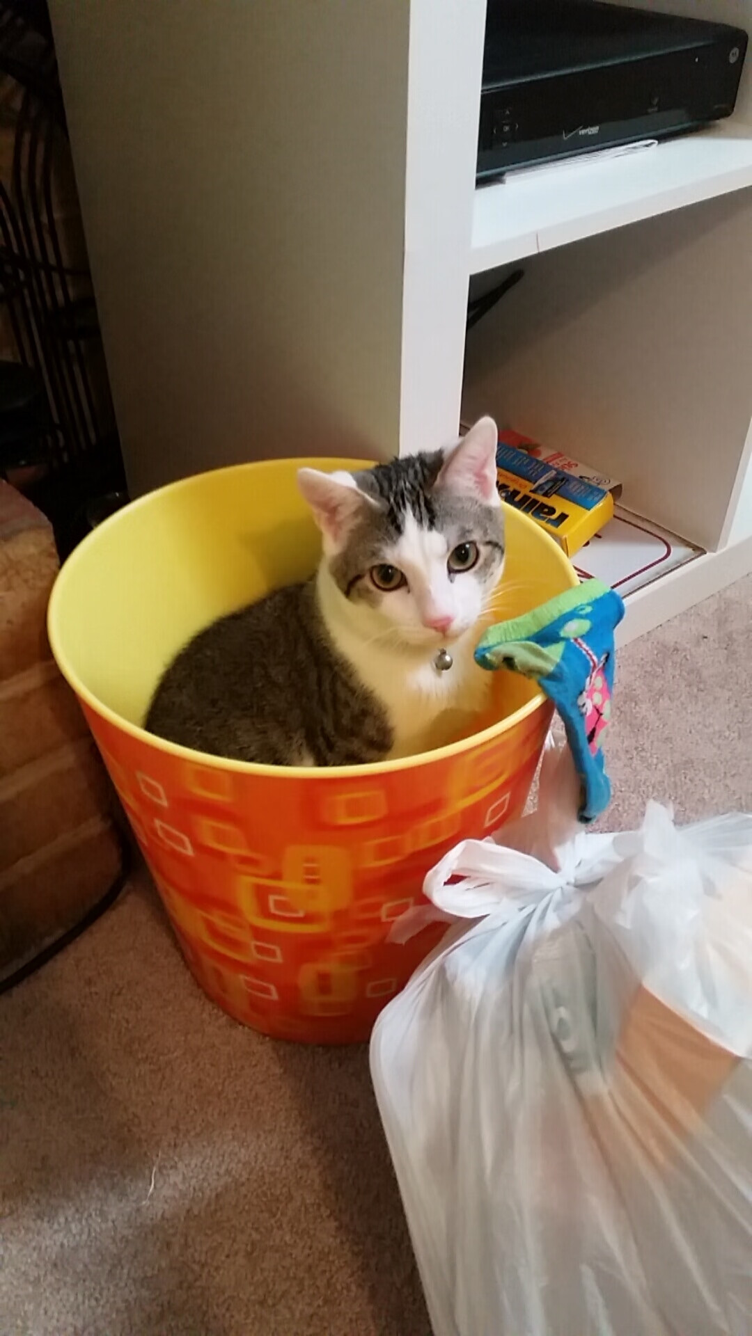 瑞典队如何迎接2024年国际乒联混合团体世界杯挑战,瑞典乒乓球公开赛冠军是谁