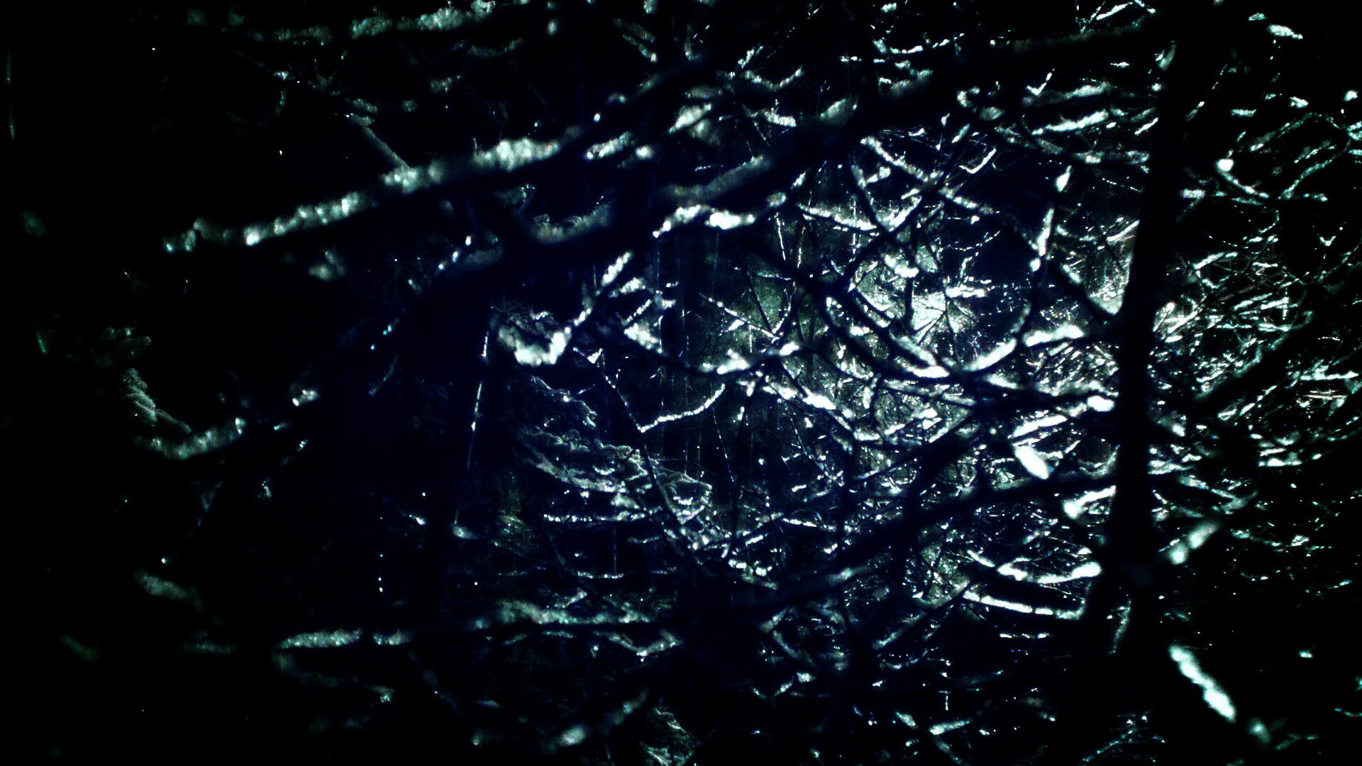 女子篮球联盟引入国际先进战术理念丰富打法,女子篮球联赛叫什么