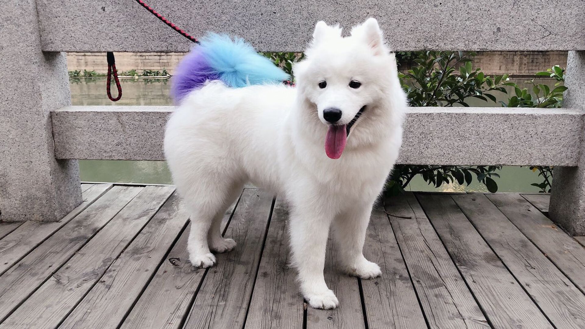 熊猫体育官网-职业联赛注重品牌识别打造俱乐部视觉统一形象，职业联赛标准